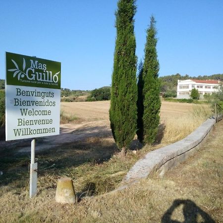 La Nursery De Mas Guillo San Quintín de Mediona المظهر الخارجي الصورة