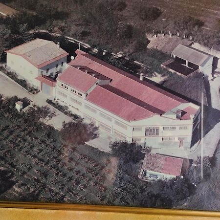 La Nursery De Mas Guillo San Quintín de Mediona المظهر الخارجي الصورة